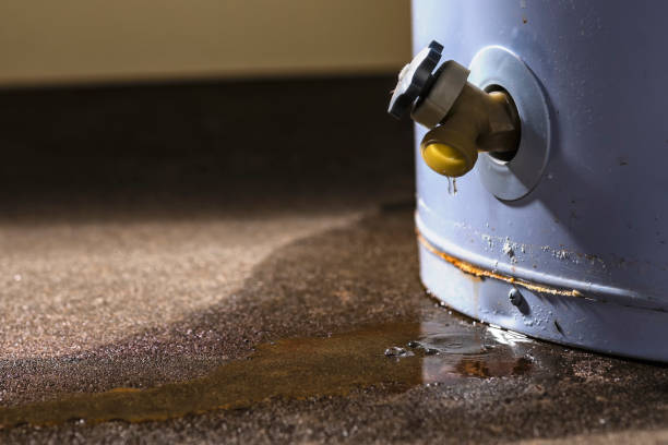 Best Commercial water damage restoration  in Rowlett, TX