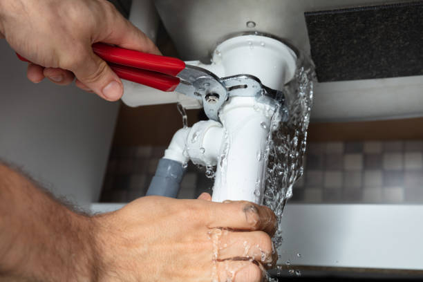 Best Professional water damage repair  in Rowlett, TX