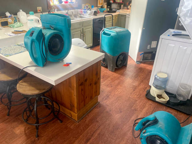 Best Flooded house restoration  in Rowlett, TX