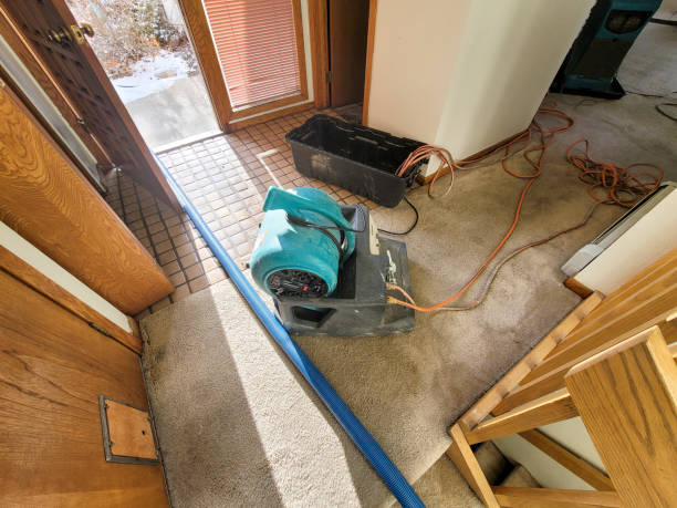 Best Local water damage restoration  in Rowlett, TX