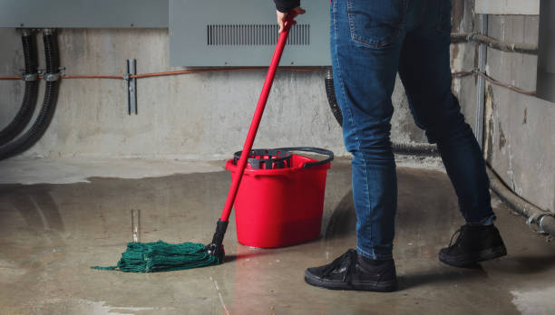 Best Ceiling water damage repair  in Rowlett, TX