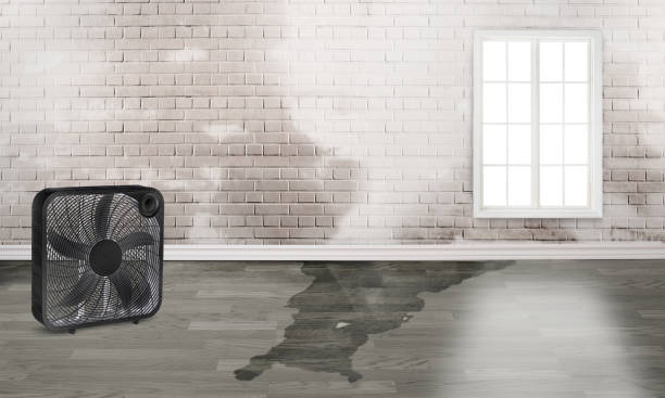 Fire Damage Restoration in TX