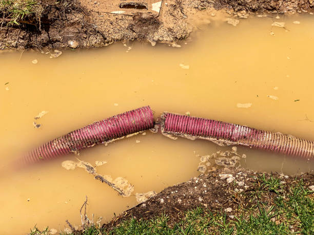 Best 24-hour water damage restoration  in Rowlett, TX