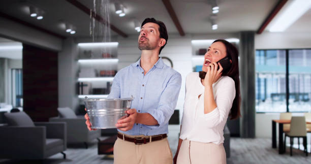 Best Water damage restoration near me  in Rowlett, TX