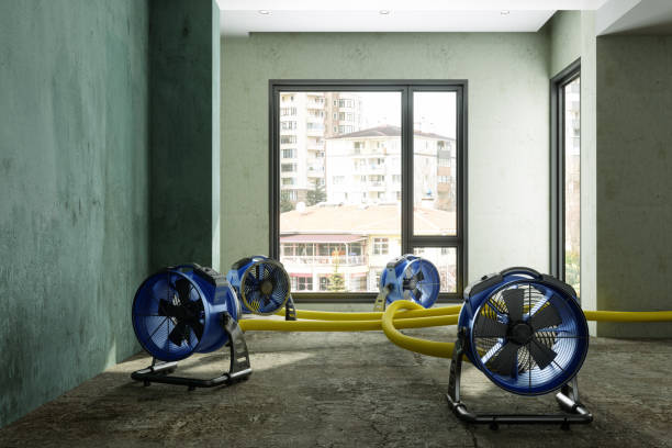 Best Flood damage cleanup  in Rowlett, TX