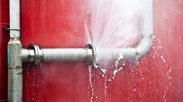 Best Mold removal after water damage  in Rowlett, TX